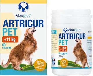 Dopolnilna hrana za pse, kapsule za sklepe in mišice Artricur Pet (+11 kg), 60 kos