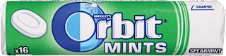 Mints bonboni Spearmint, 16 kos