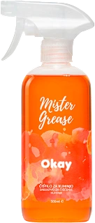 Razmaščevalec za kuhinjo Mister Grease, 500 ml