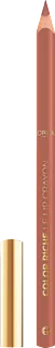 Črtalo za ustnice Color Riche, 601 Worth It, 2 g