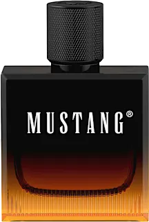 Toaletna voda za moške Amber Signature, 50 ml