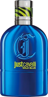 Toaletna voda za moške Wild Blue, 30 ml