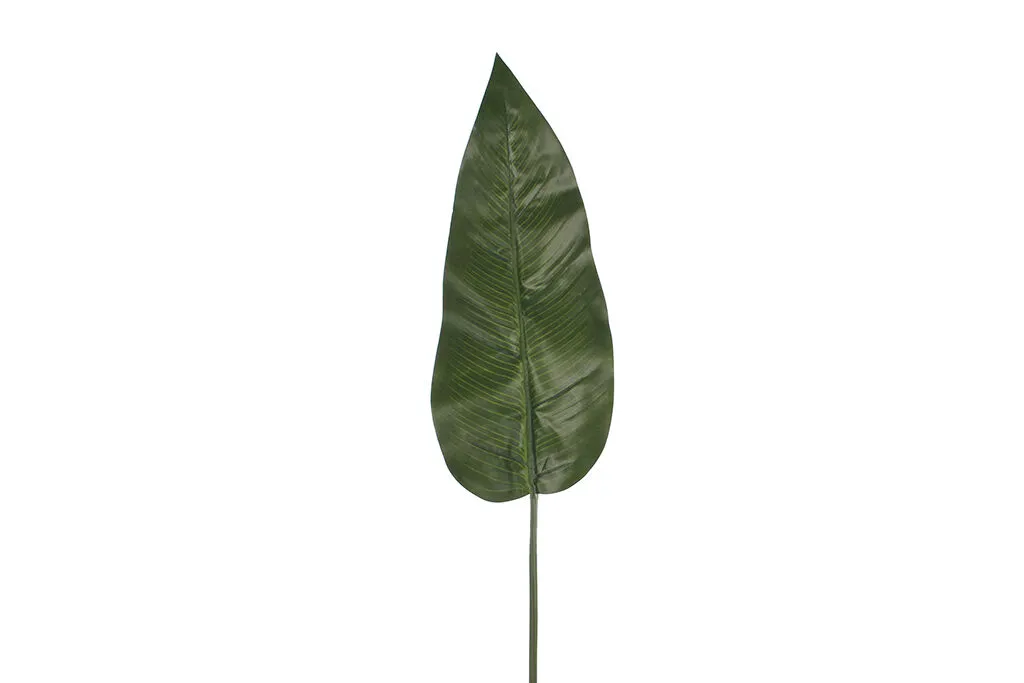 List PHILODENDRON