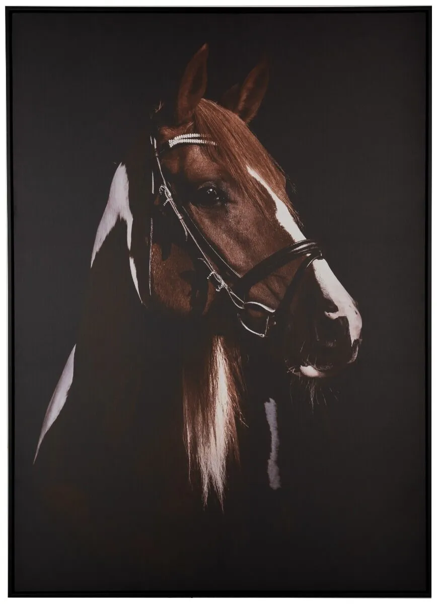 Slika HORSE HEAD