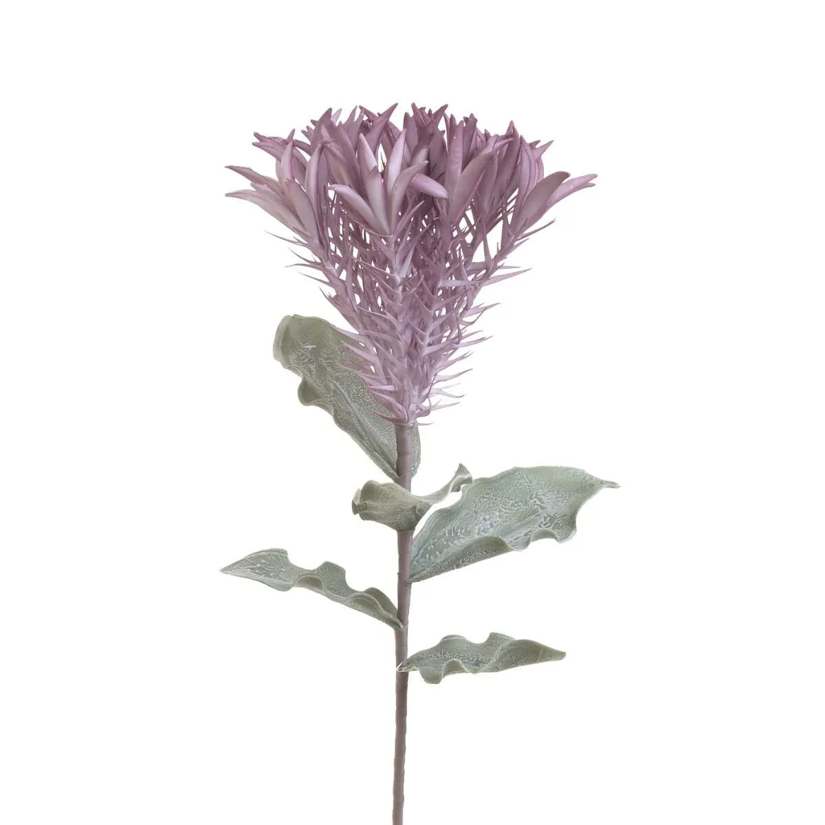 Veja ASTRA