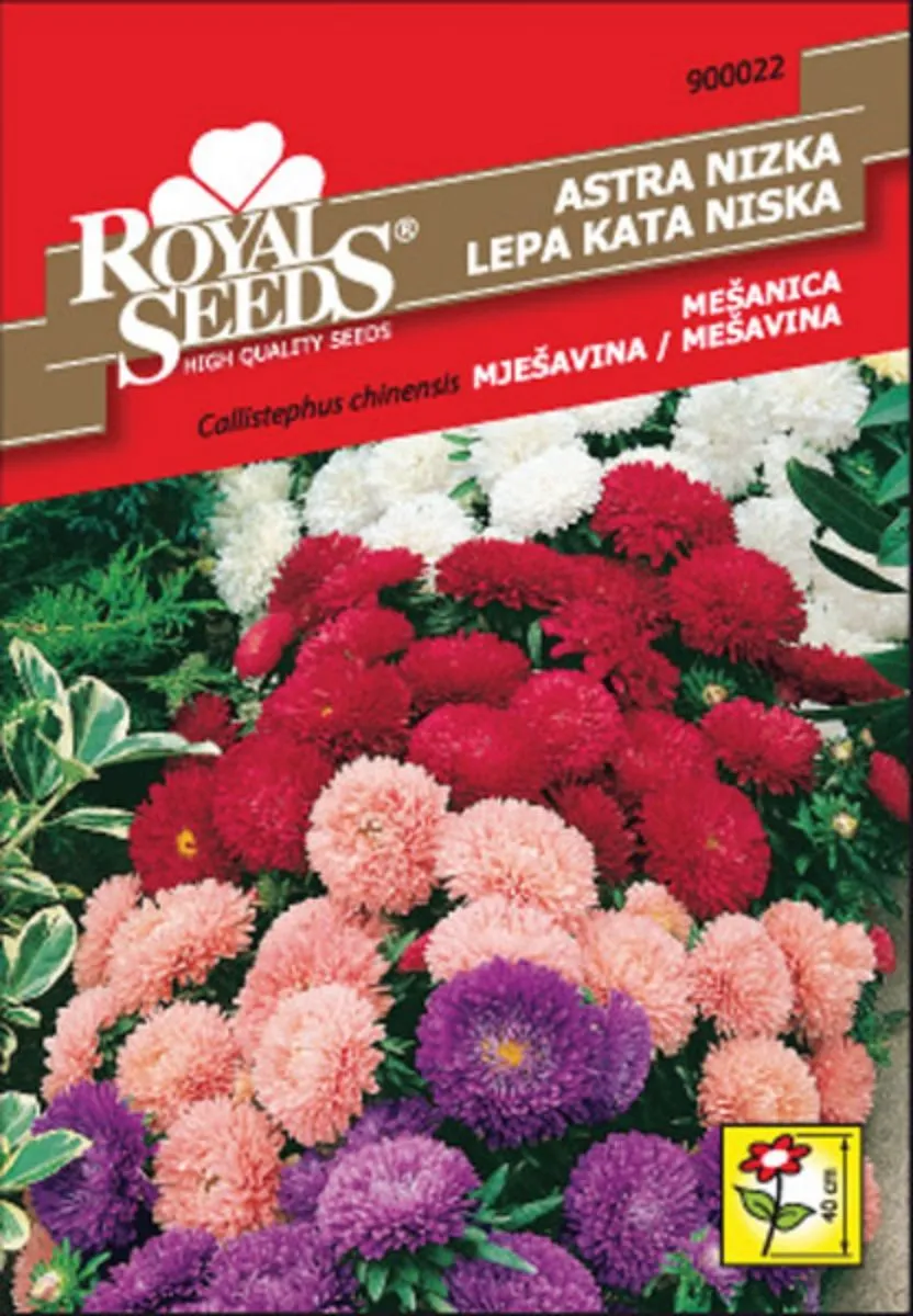 ASTRA ROYAL SEEDS NIZKA MEŠ. 22