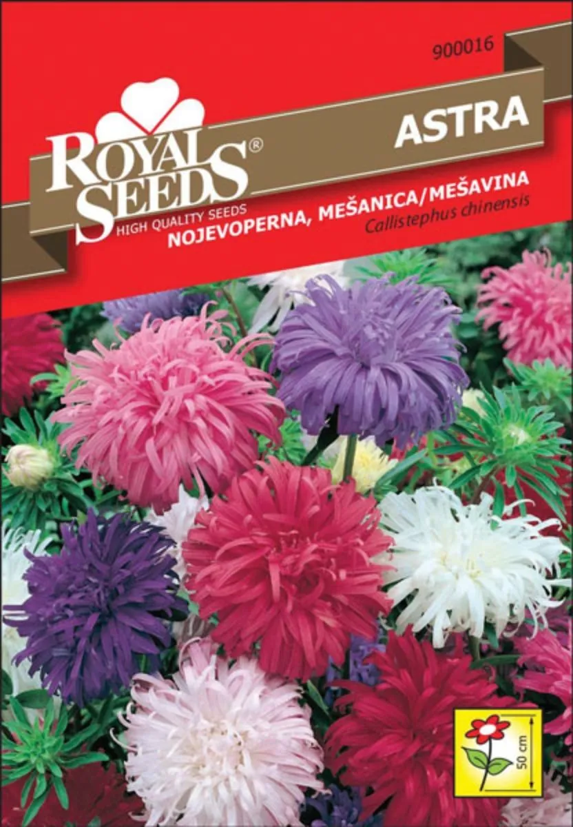 ASTRA ROYAL SEEDS NOJEVOP. MEŠ. 16
