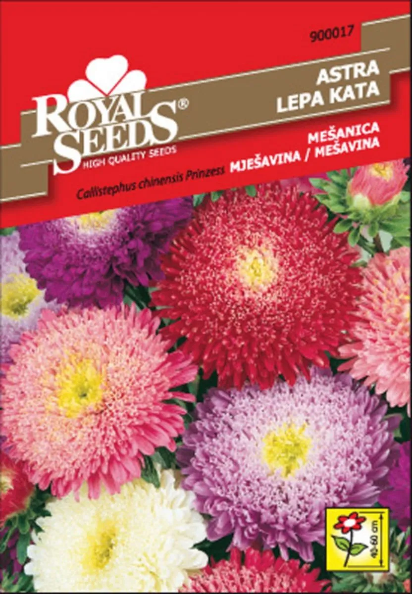 ASTRA ROYAL SEEDS PRINCES MEŠ. 17