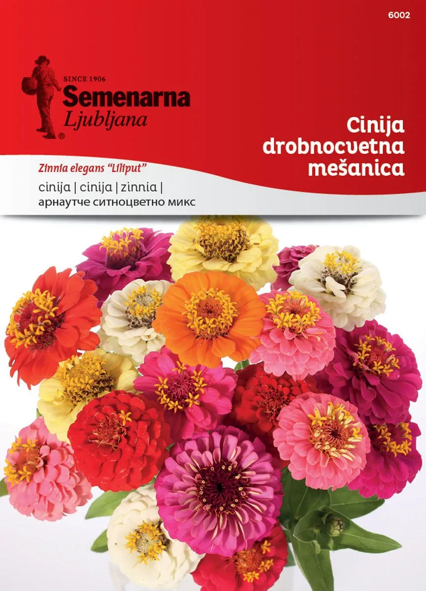 CINIJA SEMENARNA DROBNOCVETNA MIX 6002