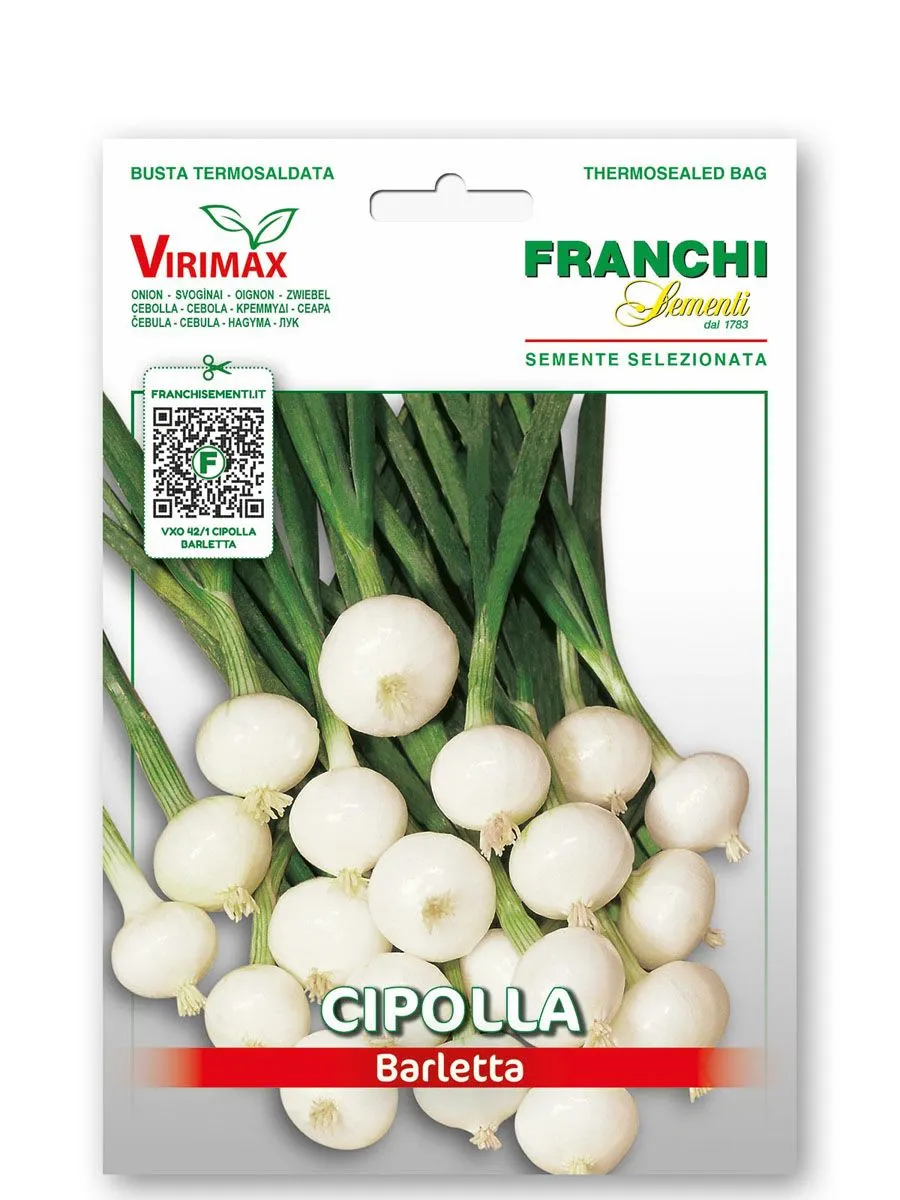 ČEBULNICA FRANCHI SEMENTI ČEBULA BARLETTA