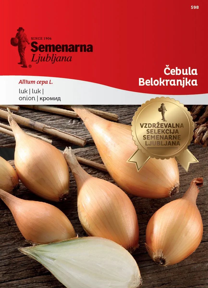 ČEBULNICA SEMENARNA ČEBULA BELOKRANJKA 598