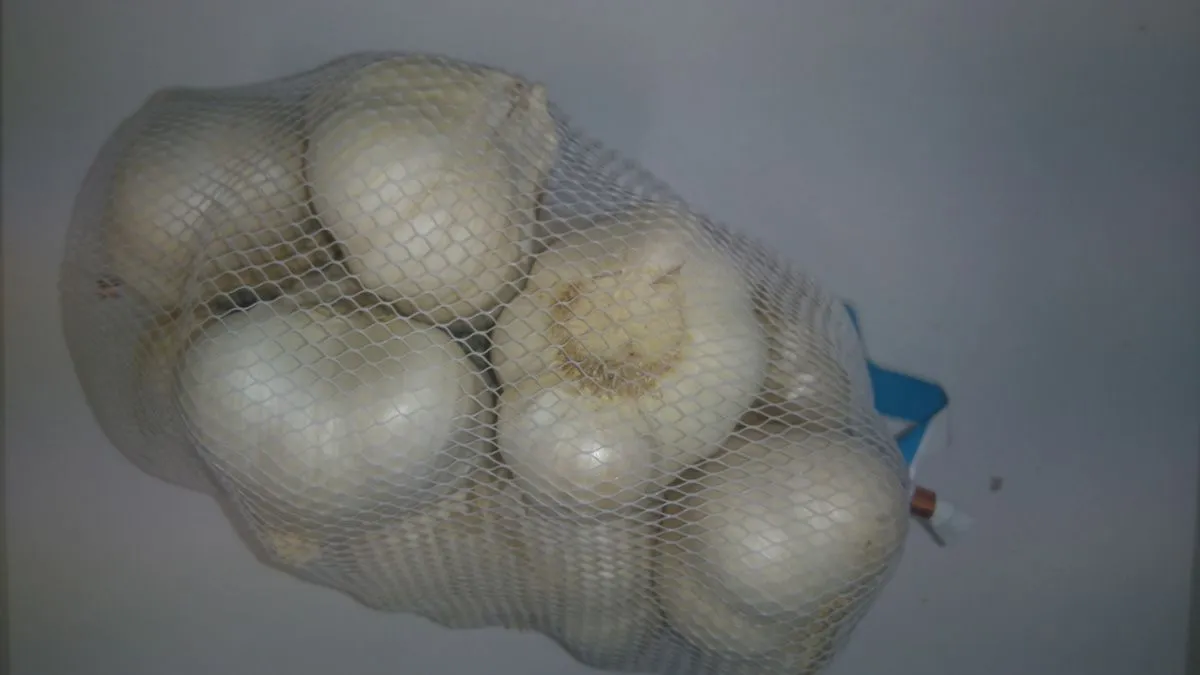 ČESEN ROYAL SEEDS SEMENSKI  500G RS