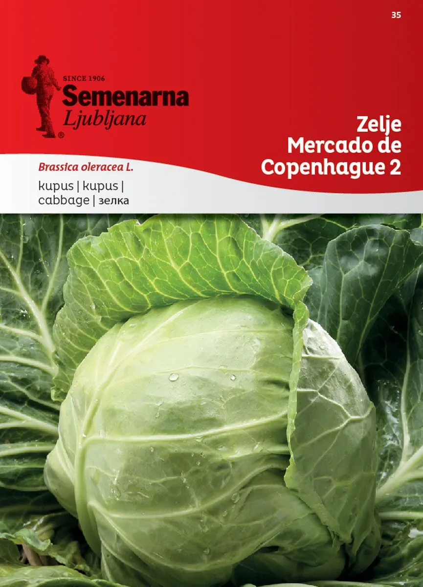 KAPUSNICA SEMENARNA ZELJE MERCADO COPENHAGUE2 35