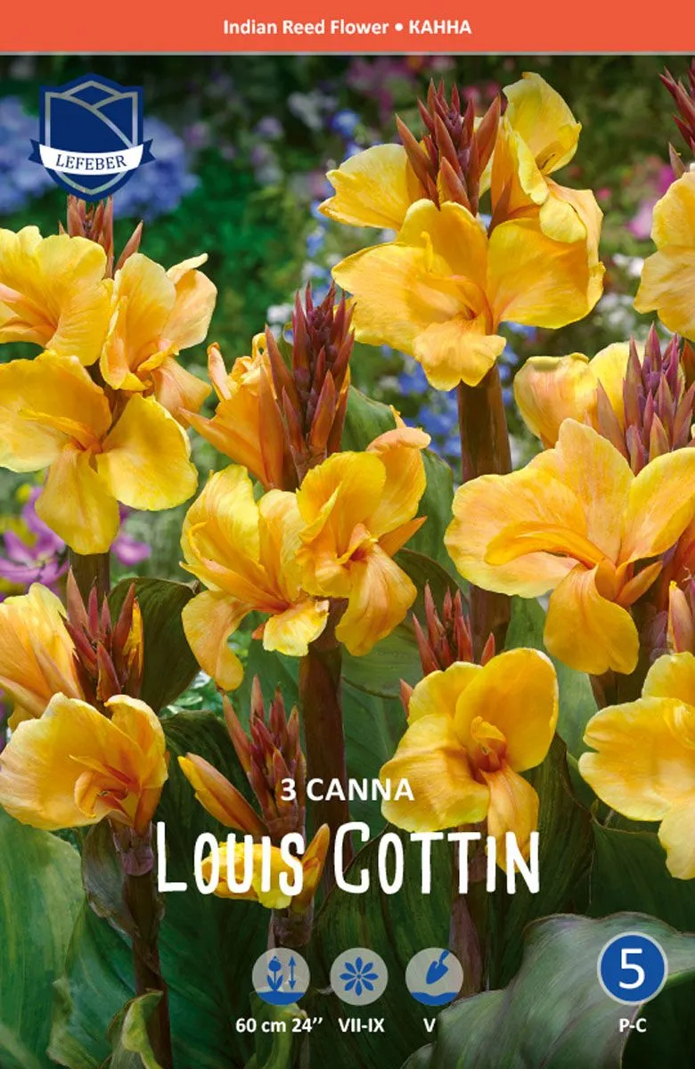 L KANA LOUIS COTTIN