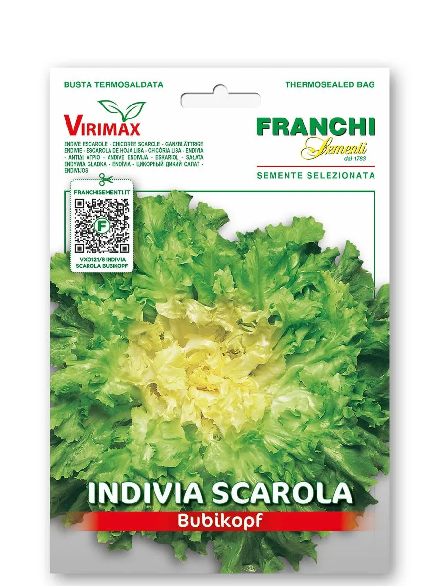 LISTNA ZELENJAVA FRANCHI SEMENTI ENDIVIJA ESKARIOL BUBIKOPF