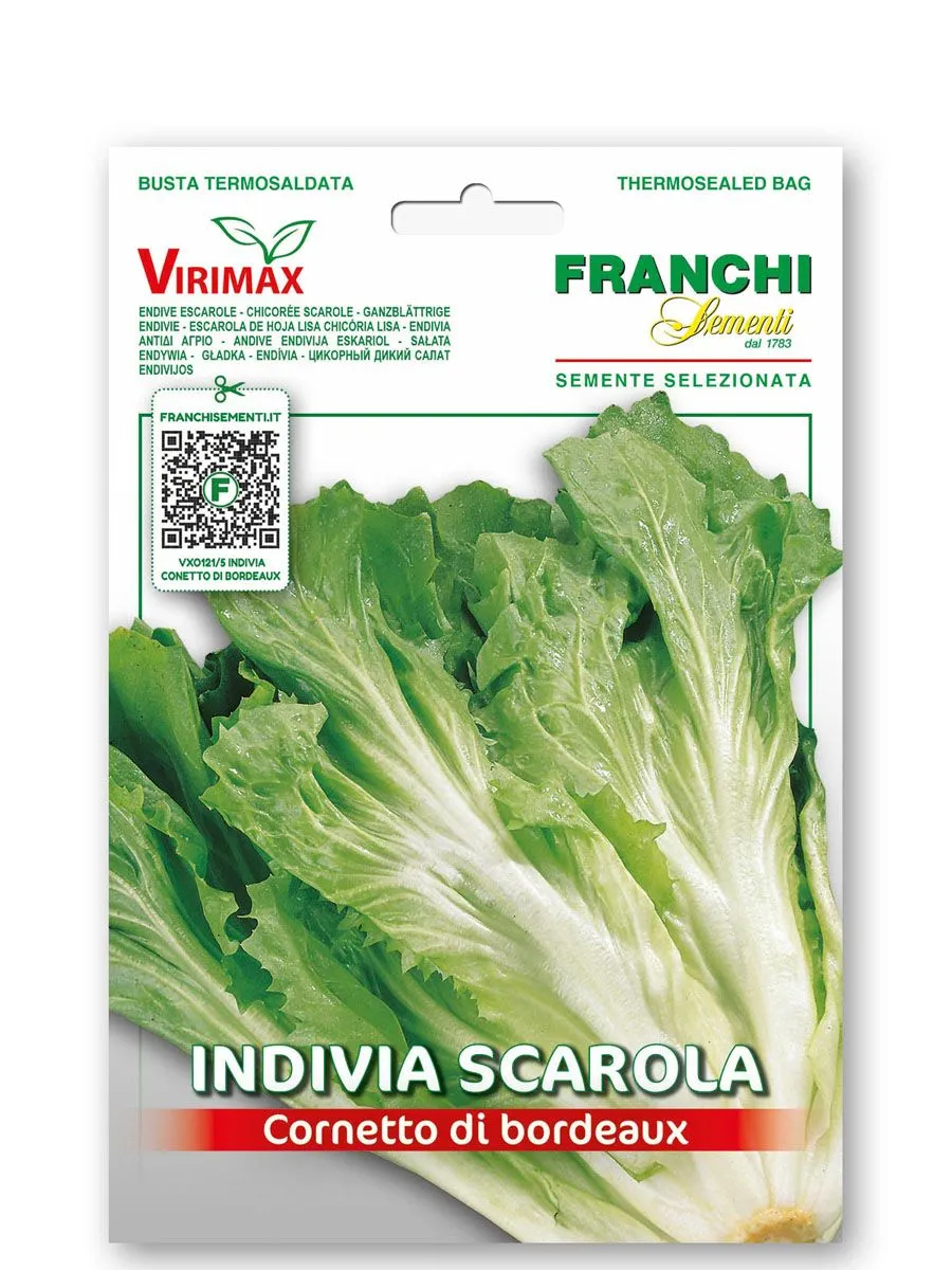 LISTNA ZELENJAVA FRANCHI SEMENTI ENDIVIJA ESKARIOL RUMENA