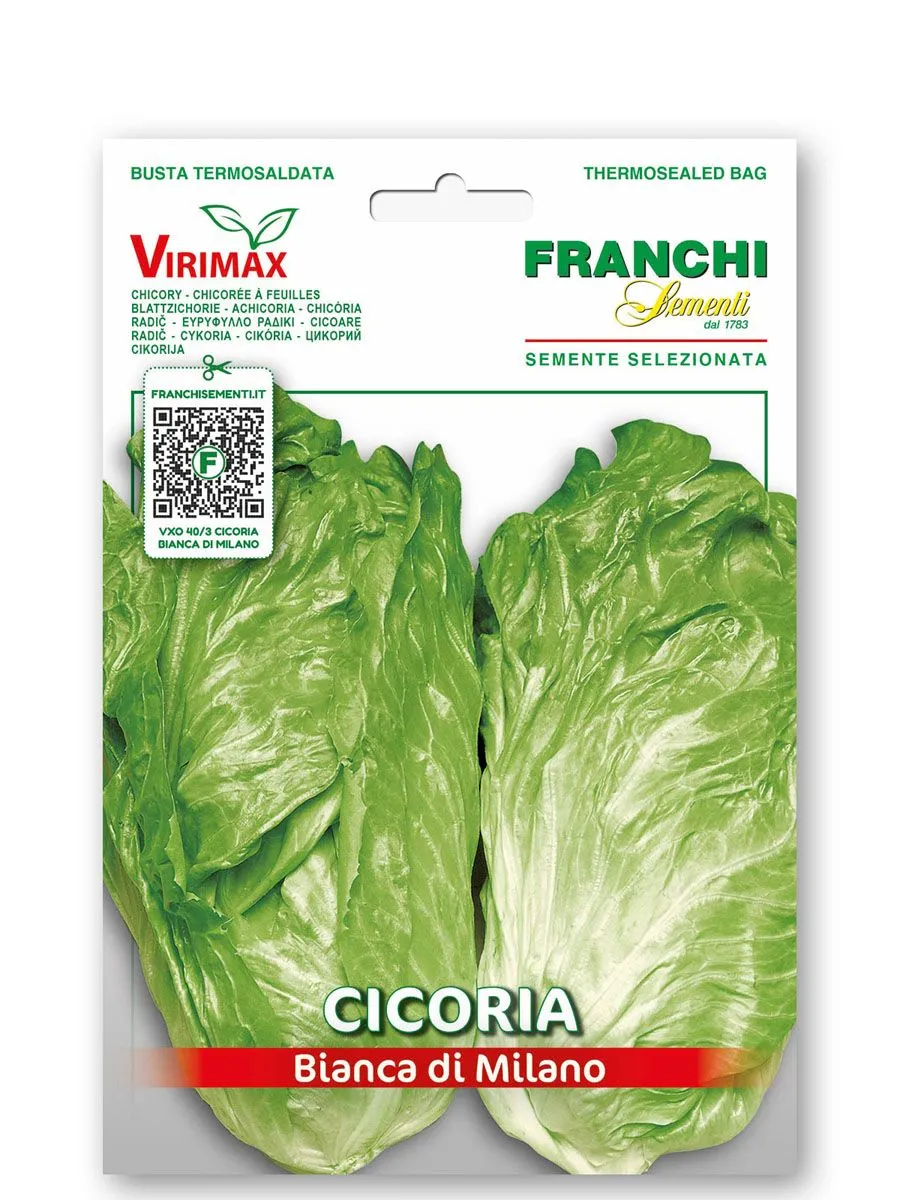 LISTNA ZELENJAVA FRANCHI SEMENTI RADIČ : BIANCA DI MILANO VXO 40/3