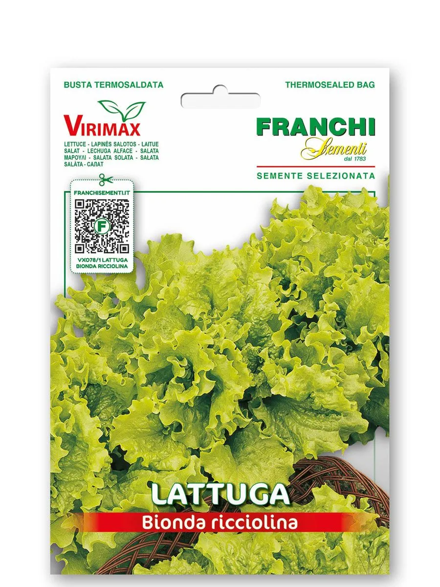 LISTNA ZELENJAVA FRANCHI SEMENTI SOLATA BIONDA RICCIOLINA VXO 78/1