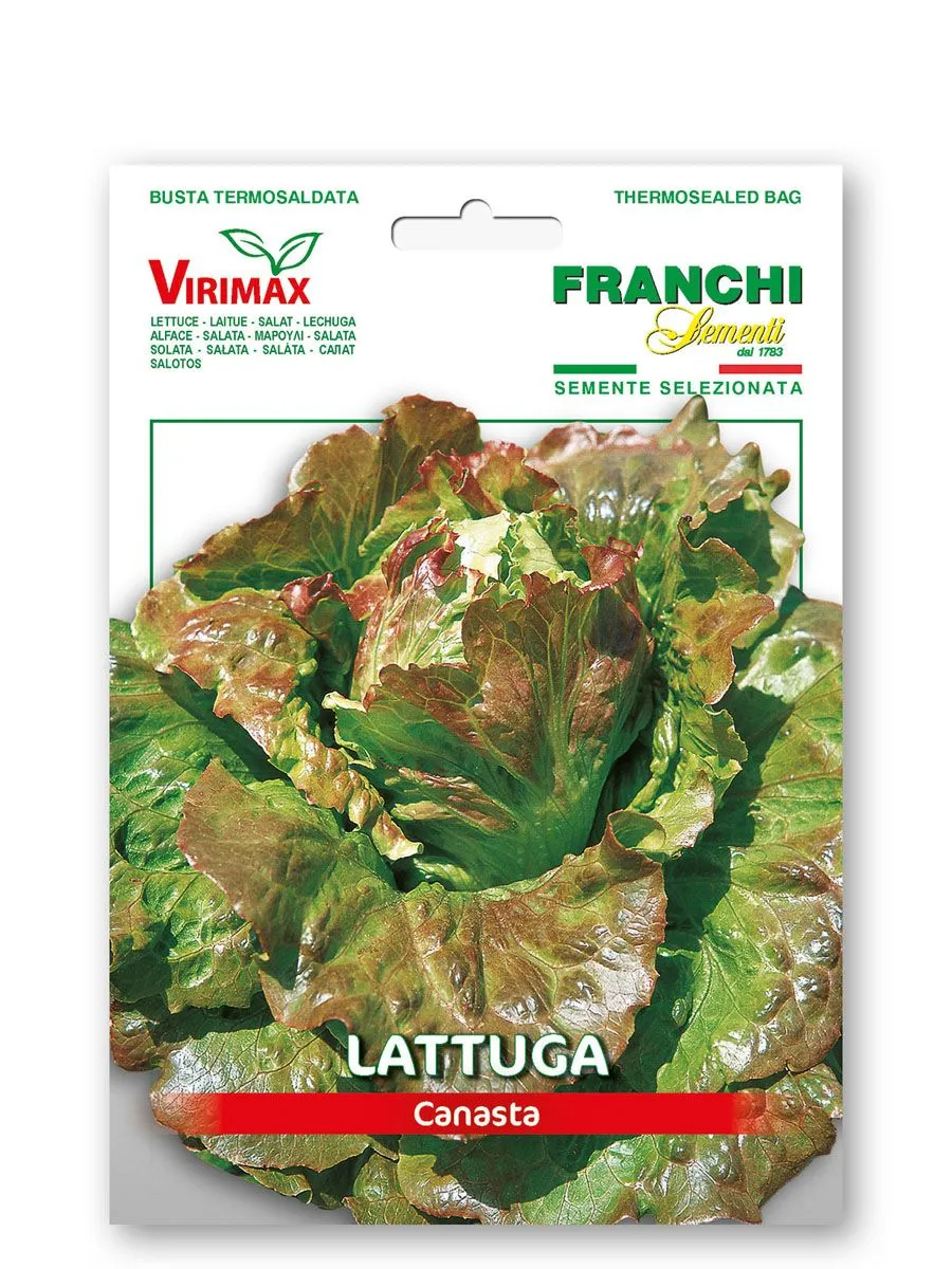 LISTNA ZELENJAVA FRANCHI SEMENTI SOLATA CANASTA