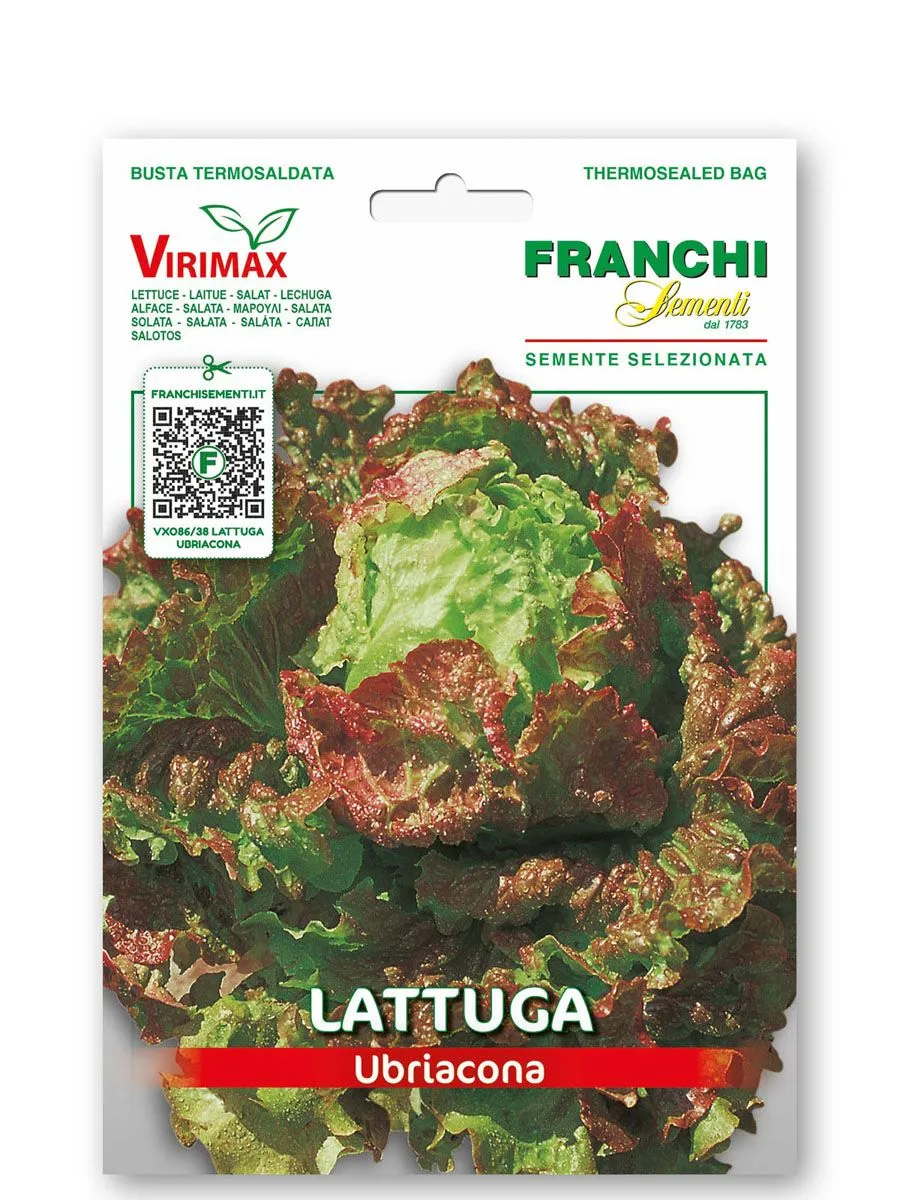 LISTNA ZELENJAVA FRANCHI SEMENTI SOLATA UBRIACONA