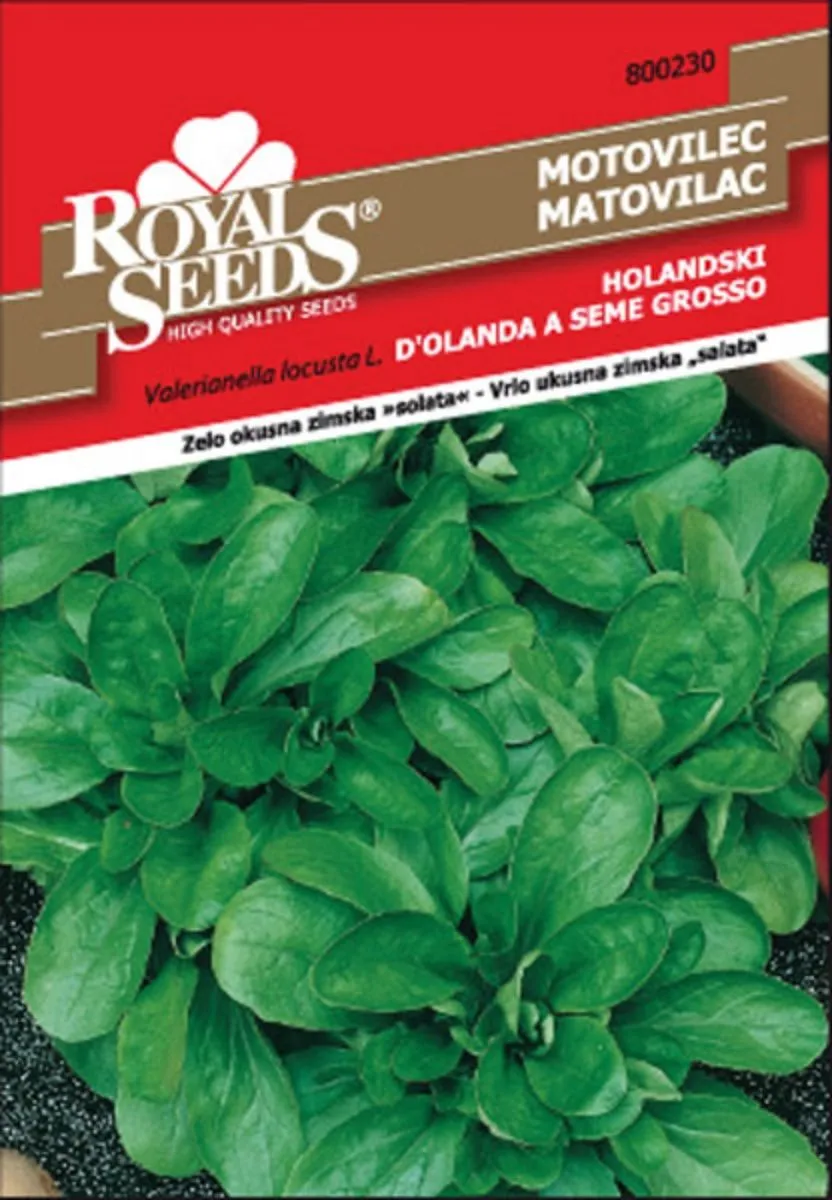 LISTNA ZELENJAVA ROYAL SEEDS MOTOVILEC HOLANDSKI 230