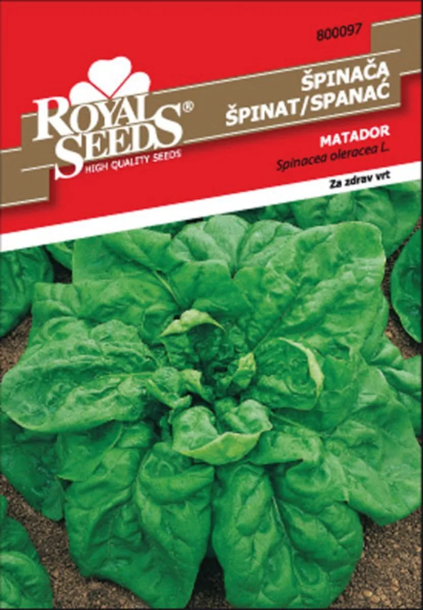 LISTNA ZELENJAVA ROYAL SEEDS ŠPINAČA MATADOR 97