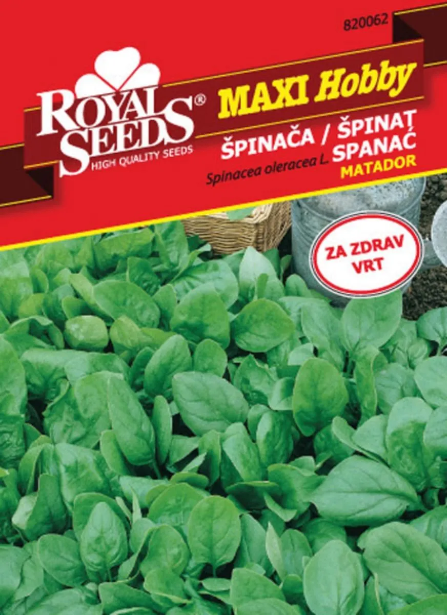 LISTNA ZELENJAVA ROYAL SEEDS ŠPINAČA MATADOR MH 62