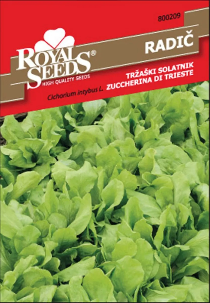 LISTNA ZELENJAVA ROYAL SEEDS RADIČ TRŽAŠKI SOLAT. 209