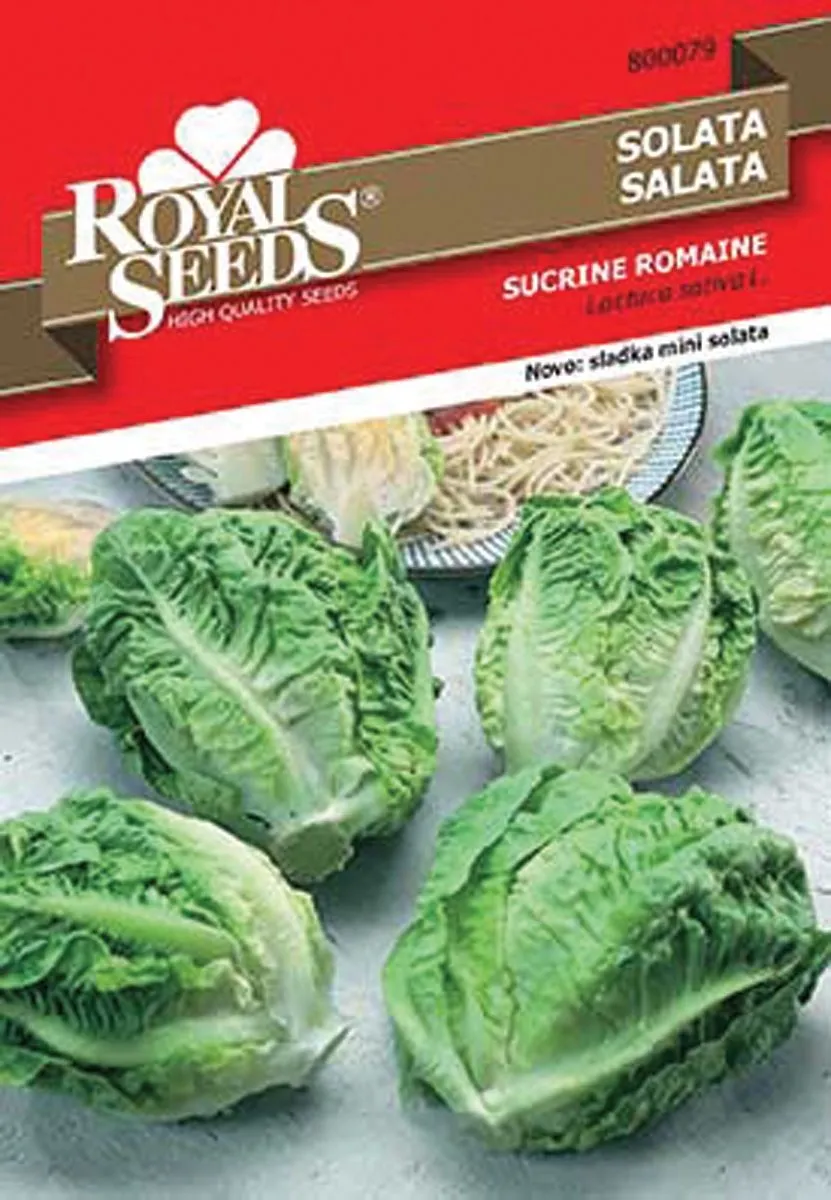 LISTNA ZELENJAVA ROYAL SEEDS VREČICA ROYAL 79 SOLATA SUCRINE ROMAINE