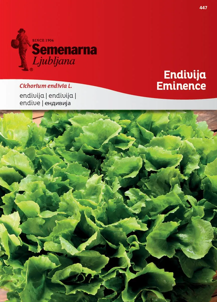 LISTNA ZELENJAVA SEMENARNA ENDIVIJA EMINENCE 447