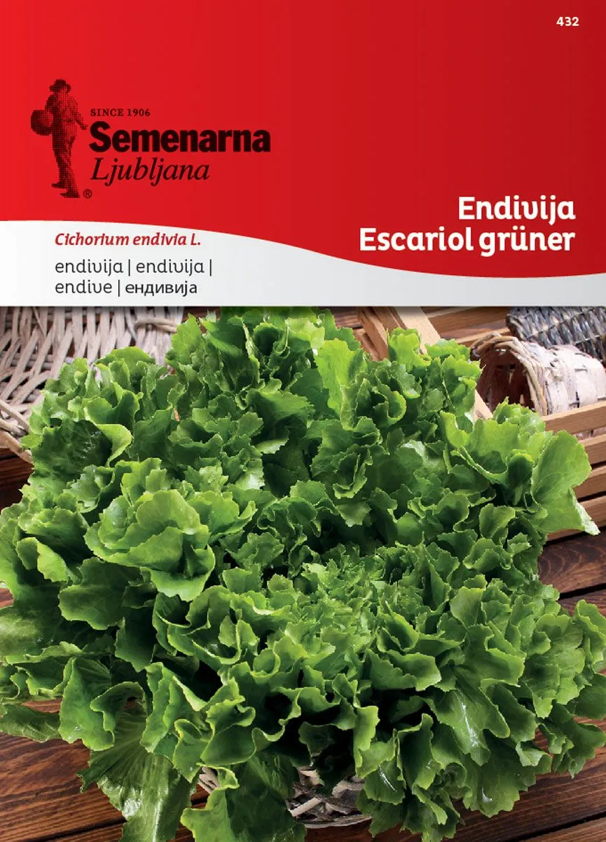 LISTNA ZELENJAVA SEMENARNA ENDIVIJA ESCARIOL GRUNER 432