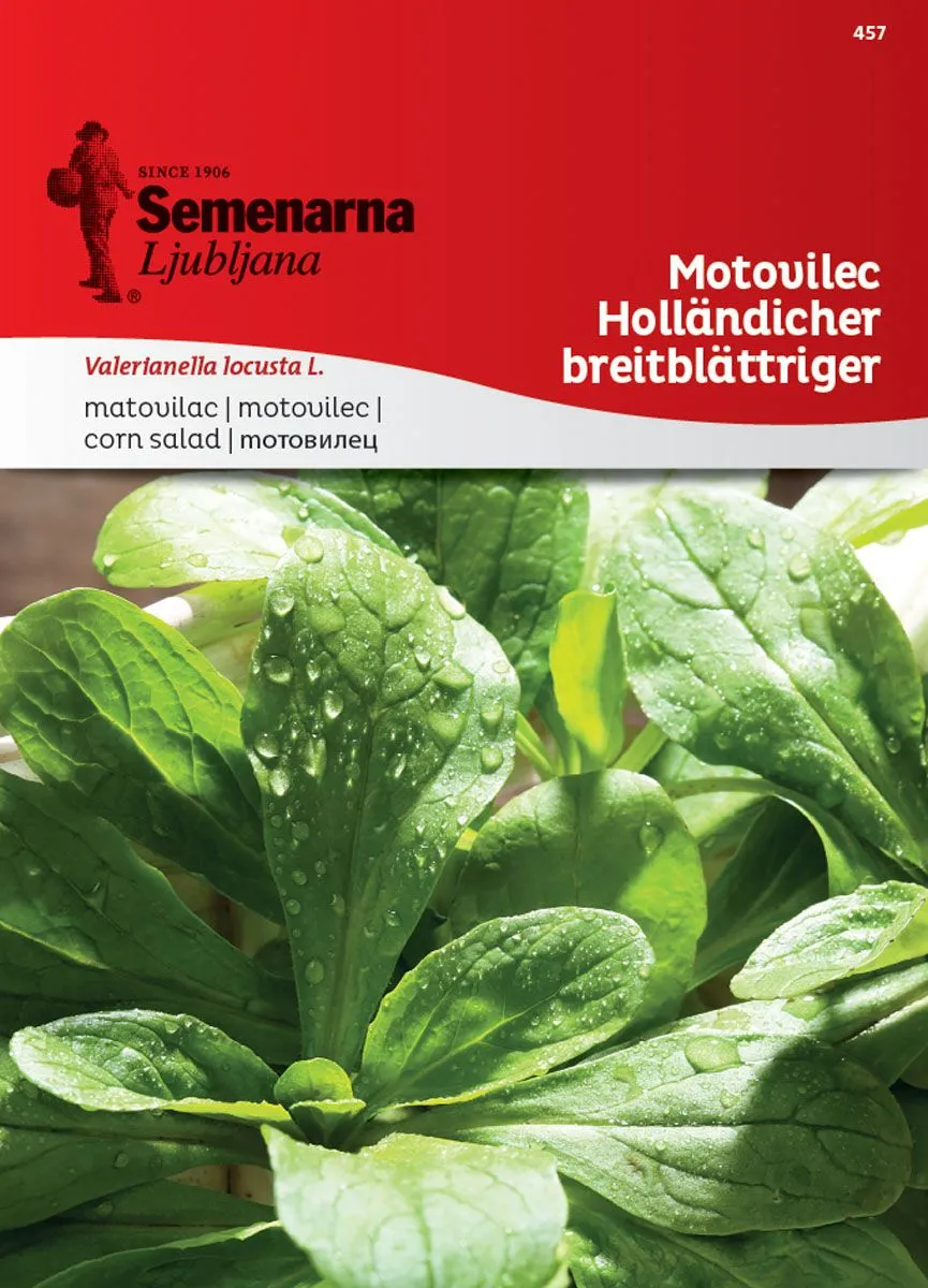 LISTNA ZELENJAVA SEMENARNA MOTOVILEC HOLLANDISCHER BREITBLATTR. 457