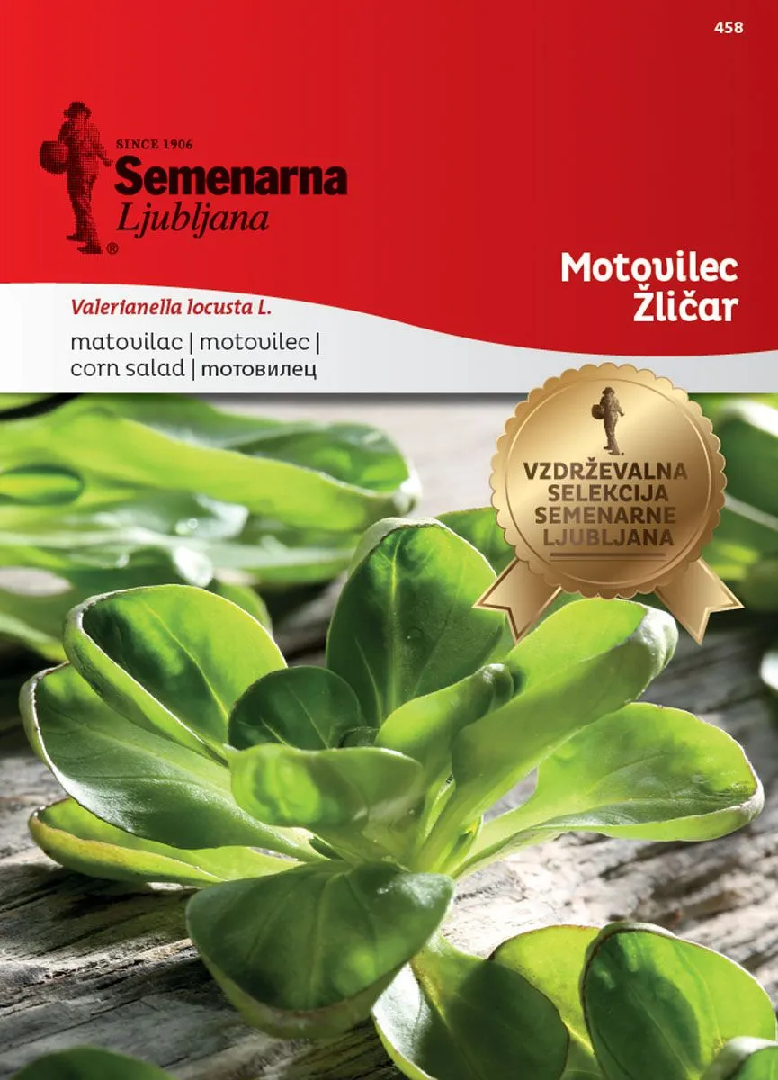 LISTNA ZELENJAVA SEMENARNA MOTOVILEC ŽLIČAR 458 MALA VREČICA