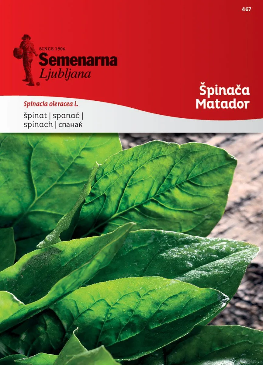 LISTNA ZELENJAVA SEMENARNA ŠPINAČA MATADOR 467