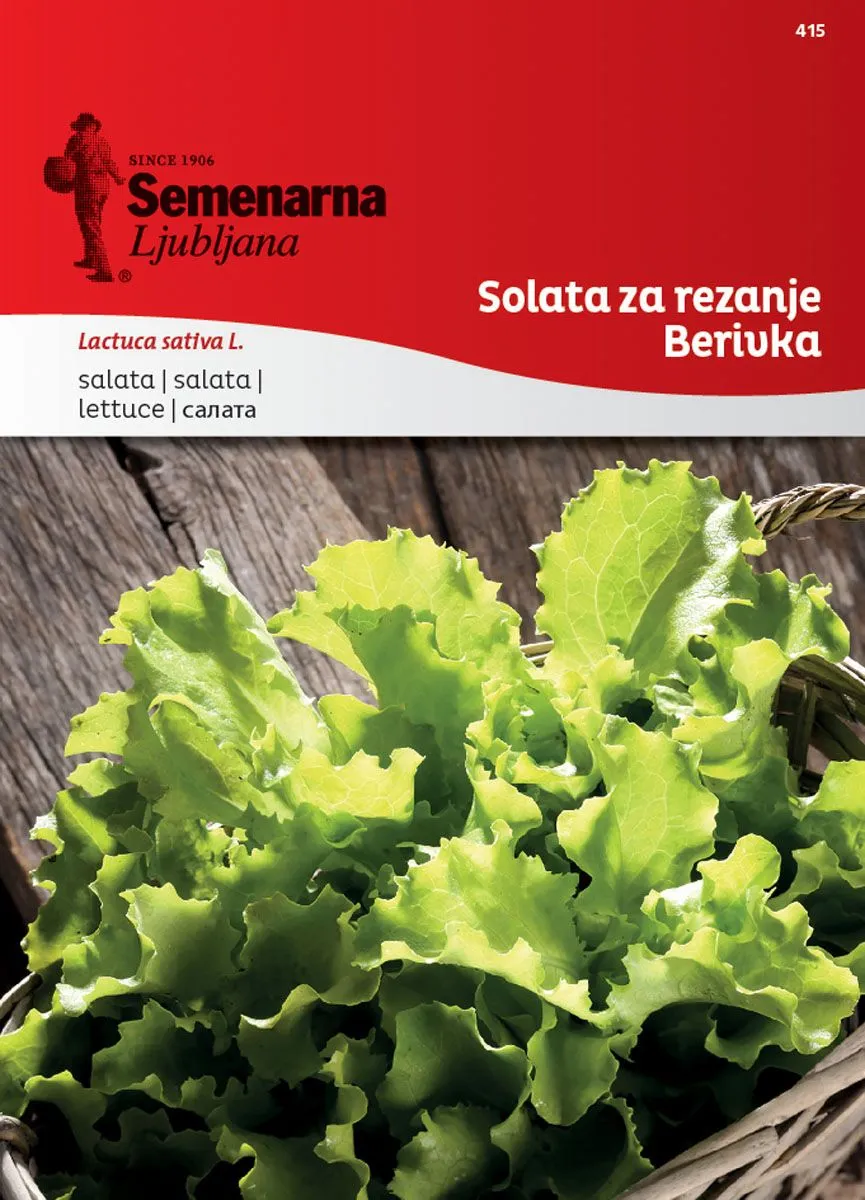 LISTNA ZELENJAVA SEMENARNA SOLATA ZA REZANJE BERIVKA 415