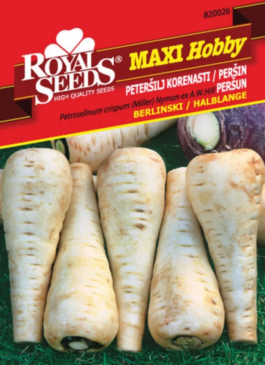 PETERŠILJ ROYAL SEEDS BERLINSKI MH 26