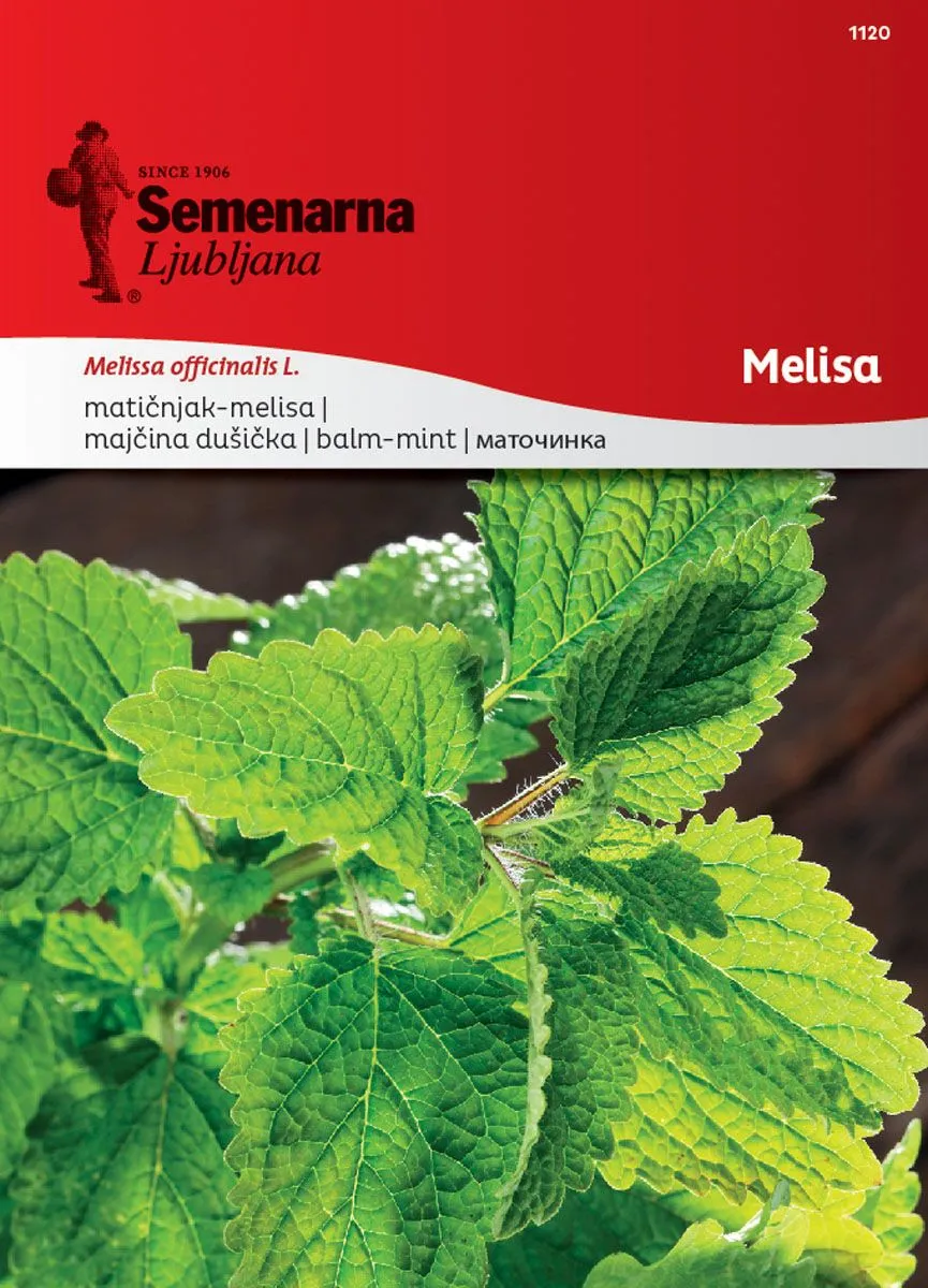 SEME DIŠAVNICE SEMENARNA MELISA 1120