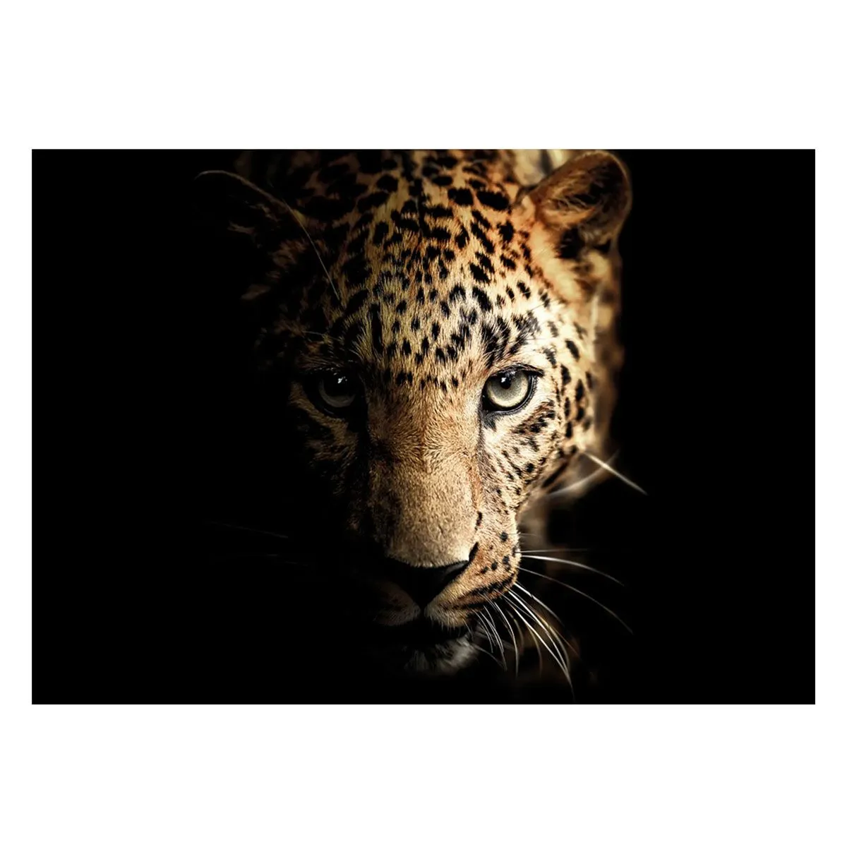 SLIKA STYLER LEOPARD STEKLENA 70X100 GL246